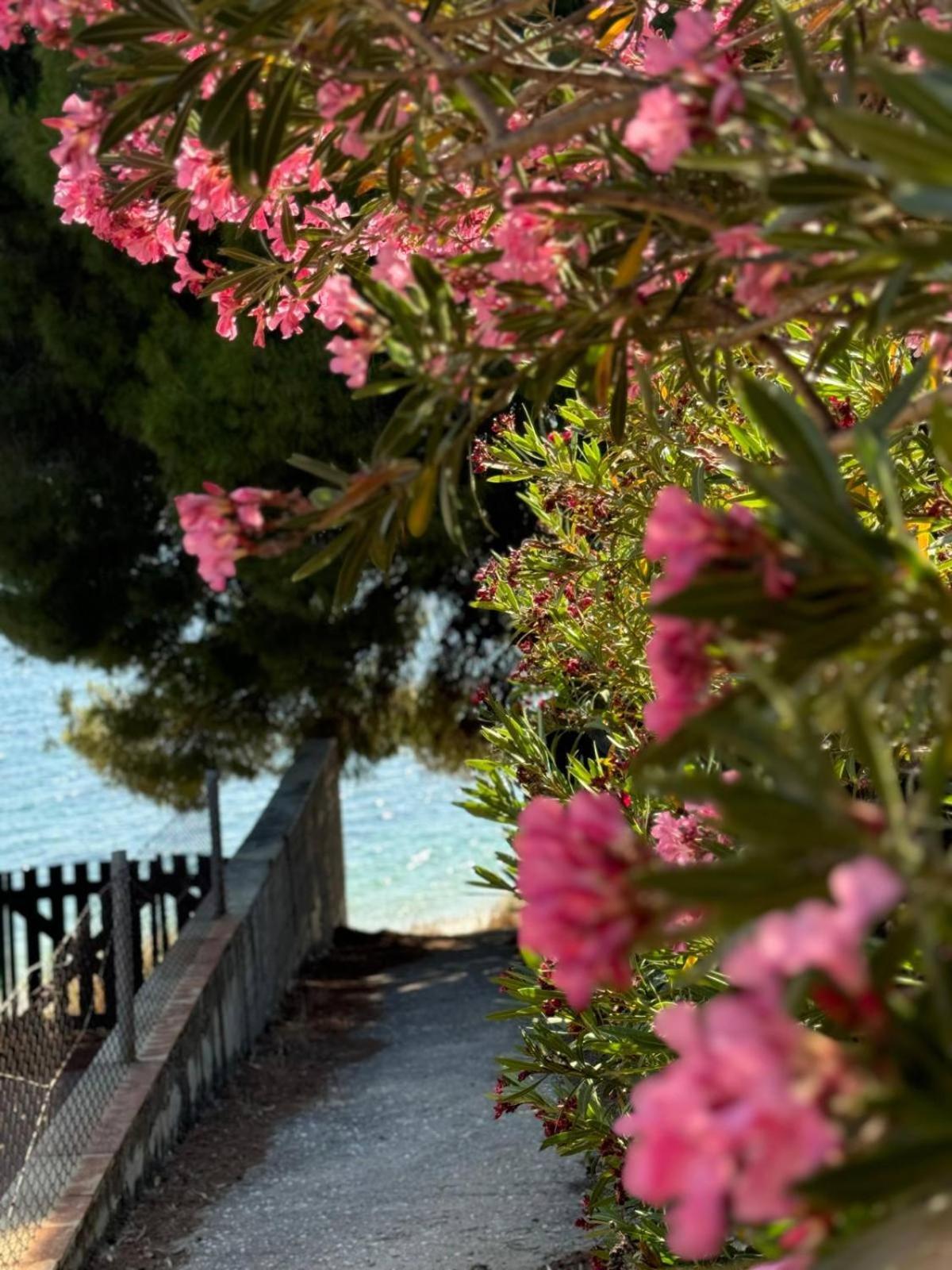 Villa Stadi นิกิติ ภายนอก รูปภาพ
