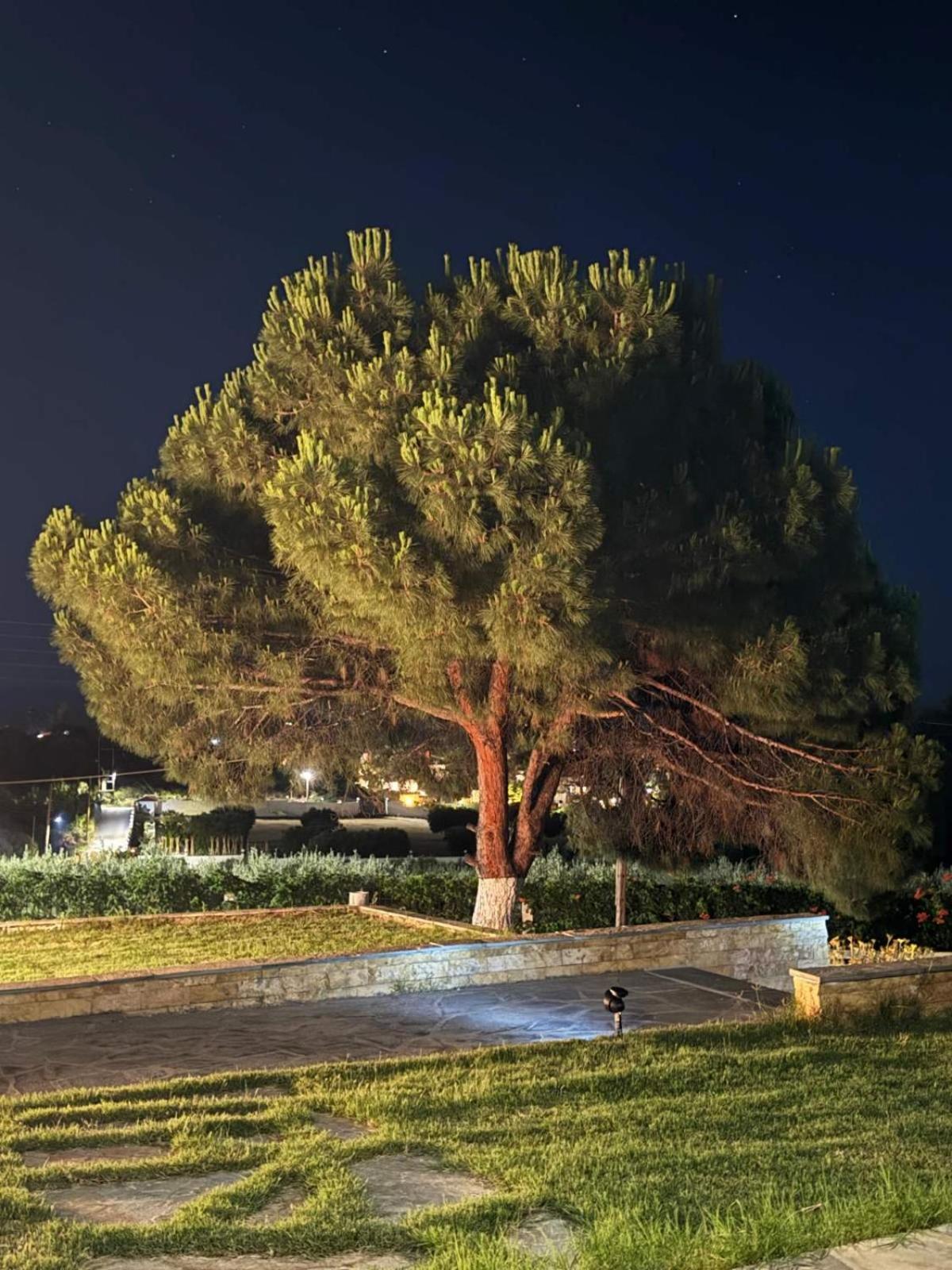 Villa Stadi นิกิติ ภายนอก รูปภาพ